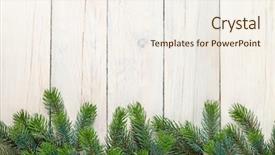  Presentation with fir tree - Slide set consisting of pinecones - christmas wooden background with fir background and a sky blue colored foreground