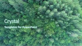  Presentation with mountain view california - Amazing slide set having pinetree forest on beautiful sunrise backdrop and a ocean colored foreground