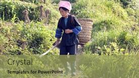  Presentation with ethnic minority - 