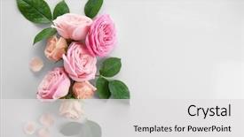  Presentation with pink - Cool new PPT theme with pink - floral composition on white background backdrop and a light gray colored foreground