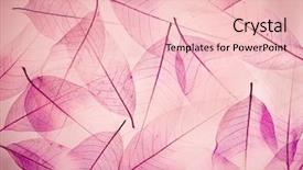  Presentation with bodhi tree - Colorful presentation enhanced with pink abstract - backdrop texture of colorful floral backdrop and a lemonade colored foreground