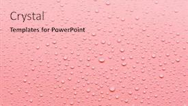  Presentation with dew - PPT theme enhanced with pink-abstract-background-with-dew background and a lemonade colored foreground