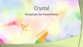  Presentation with color pink - Slide deck featuring pink abstractflower - beautiful flowers made with color background and a cream colored foreground