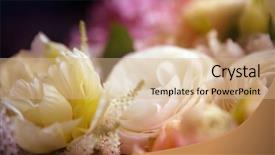  Presentation with color - Cool new theme with pink abstractflower - beautiful flowers made with color backdrop and a  colored foreground