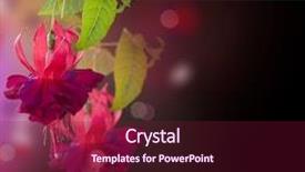  Presentation with floral abstract - Amazing PPT theme having pink abstractflower - fuchsia flowers abstract floral background backdrop and a violet colored foreground