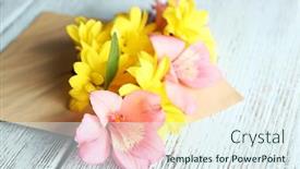  Presentation with chrysanthemum - Slide set featuring pink-alstroemeria-and-yellow-chrysanthemum background and a sky blue colored foreground