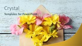  Presentation with chrysanthemum - Beautiful slide set featuring pink-alstroemeria-and-yellow-chrysanthemum backdrop and a sky blue colored foreground
