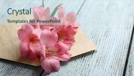  Presentation with envelope - Colorful slide set enhanced with pink alstroemeria in envelope backdrop and a sky blue colored foreground