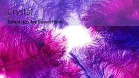  Presentation with pink white - Amazing slide set having pink-and-purple-feather backdrop and a purple colored foreground