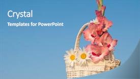  Presentation with pink sky - PPT theme featuring pink and white flowers background and a teal colored foreground