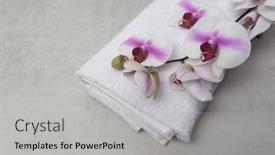  Presentation with orchid - Audience pleasing presentation theme consisting of pink-and-white-orchid-flower backdrop and a light gray colored foreground