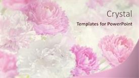  Presentation with peony - 