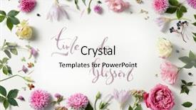  Presentation with border pink - Theme having pink and white rose background and a sky blue colored foreground