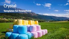  Presentation with hay field - Cool new theme with pink and yellow plastic wrapped backdrop and a teal colored foreground