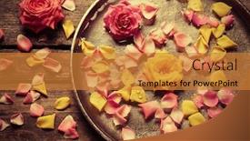  Presentation with rose yellow - Presentation having pink and yellow rose petals in silver bowl with water on wooden background background and a gold colored foreground