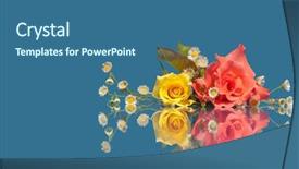  Presentation with yellow rose - Slides having pink and yellow rose with tiny white wild flowers on blue background with reflection background and a ocean colored foreground