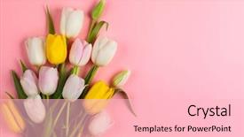  Presentation with blue flower - Slide set having pink and yellow tulips flower background and a lemonade colored foreground