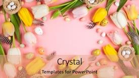  Presentation with beautiful spring flowers - Presentation theme with pink and yellow tulips flower background and a coral colored foreground