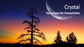  Presentation with moon trees - Colorful slides enhanced with pink black - pine trees and sunrise backdrop and a navy blue colored foreground