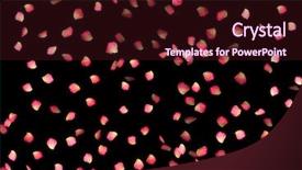  Presentation with white rose - Audience pleasing PPT theme consisting of pink gift with neon green ornamentation backdrop and a gray colored foreground