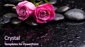  Presentation with green leaf - Theme with pink black - two rose with pebbles background and a wine colored foreground