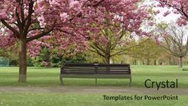  Presentation with london - Beautiful presentation theme featuring pink blossoms in greenwich park backdrop and a violet colored foreground