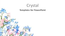  Presentation with pink blue - Presentation theme having pink-blue-delphinium-wildflower-background background and a white colored foreground