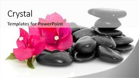  Presentation with bougainvillea - Colorful slides enhanced with pink bougainvillea flowers and polished stones backdrop and a white colored foreground