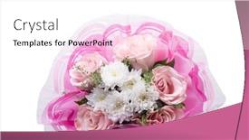  Presentation with pink roses - Audience pleasing slide set consisting of pink-bouquet-of-roses backdrop and a white colored foreground