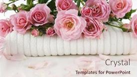  Presentation with pink rose - PPT theme having pink-branch-rose-on-soft background and a lemonade colored foreground