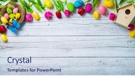  Presentation with tulips - Audience pleasing slides consisting of pink butterfly template - easter background colorful spring tulips backdrop and a sky blue colored foreground