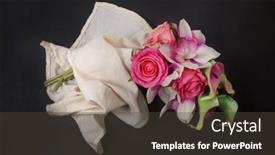  Presentation with pink rose - Theme having pink-calla-lilies-and-rose background and a tawny brown colored foreground