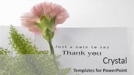  Presentation with mother nursing care - Presentation design enhanced with pink carnation and greeting card background and a  colored foreground