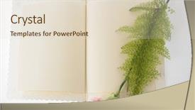  Presentation with mother nursing care - Presentation theme with pink carnation and greeting card background and a  colored foreground