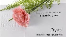  Presentation with greeting card - Audience pleasing slide set consisting of pink carnation and greeting card backdrop and a  colored foreground