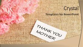  Presentation with pink - Slide deck enhanced with pink carnations flower for mother background and a coral colored foreground