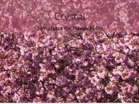 Pink Cherry Blossom PPT template 86 | CrystalGraphics