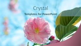  Presentation with pink sky - 