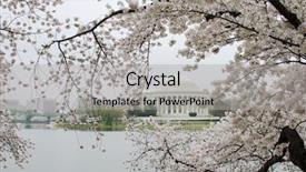  Presentation with thomas jefferson - Presentation having pink city - thomas jefferson memorial during cherry background and a light gray colored foreground