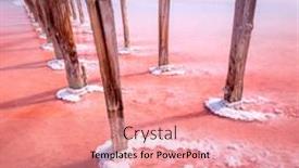  Presentation with salty - Presentation theme having pink-color-of-salty-water background and a coral colored foreground