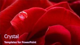  Presentation with water drop - Theme having pink damask - single water drop background and a wine colored foreground