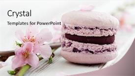  Presentation with cherry blossom - Colorful slide set enhanced with pink decorated with cherry backdrop and a white colored foreground