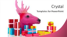  Presentation with christmas presents - Cool new PPT layouts with pink deer with many christmas presents isolated over white background backdrop and a white colored foreground
