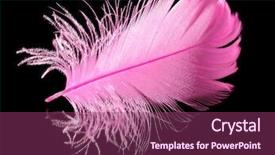  Presentation with hacker in pink and black - Amazing theme having pink feather on the black backdrop and a violet colored foreground