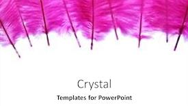  Presentation with feather - Slide deck with pink-feather-on-white-background background and a white colored foreground