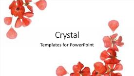  Presentation with frame pink - PPT theme having pink floral frame on white background background and a white colored foreground