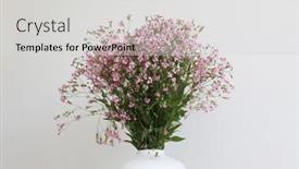  Presentation with minimalist - PPT theme enhanced with pink-flower-bouquet-in-white background and a light gray colored foreground
