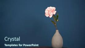  Presentation with blue flower - Audience pleasing PPT layouts consisting of pink-flower-in-vase backdrop and a ocean colored foreground