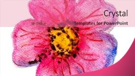  Presentation with flower watercolor - Audience pleasing theme consisting of pink flower real watercolor close backdrop and a coral colored foreground