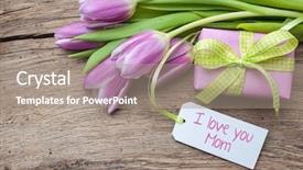  Presentation with tulips - Audience pleasing PPT layouts consisting of pink flower white note - fresh tulips and tag backdrop and a coral colored foreground